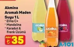 AKMİNA AROMALI MADEN SUYU 1 L fiyat ve kampanya bilgisi